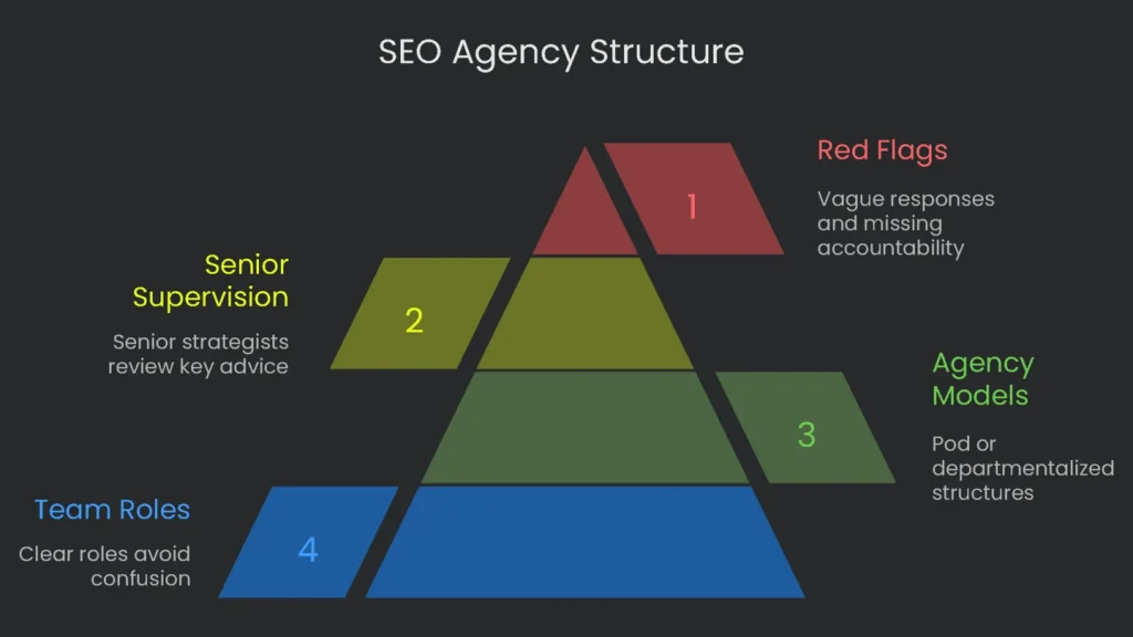 Organizational chart of a typical SEO agency with various roles and departments.